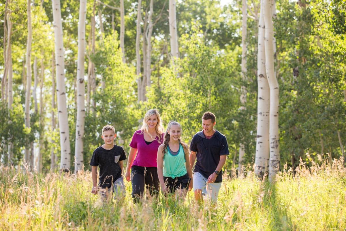 Popular attractions Area Nearby Property